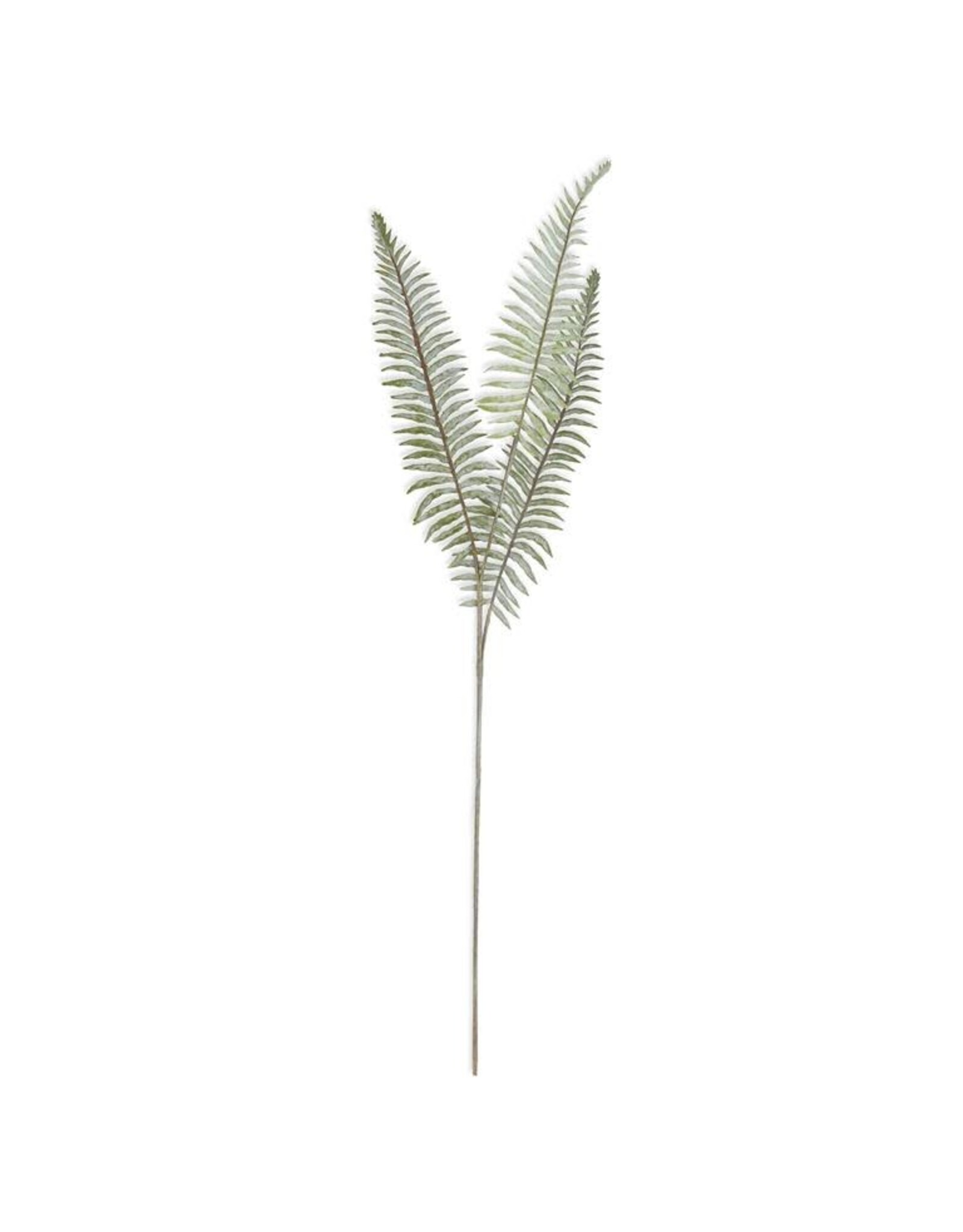 36 Inch Real Touch Boston Fern Stem 16176A