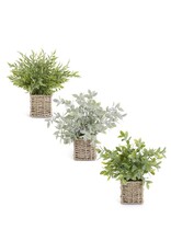 12 Inch Herbs in Square Woven Baskets 3 styles, each 16901A