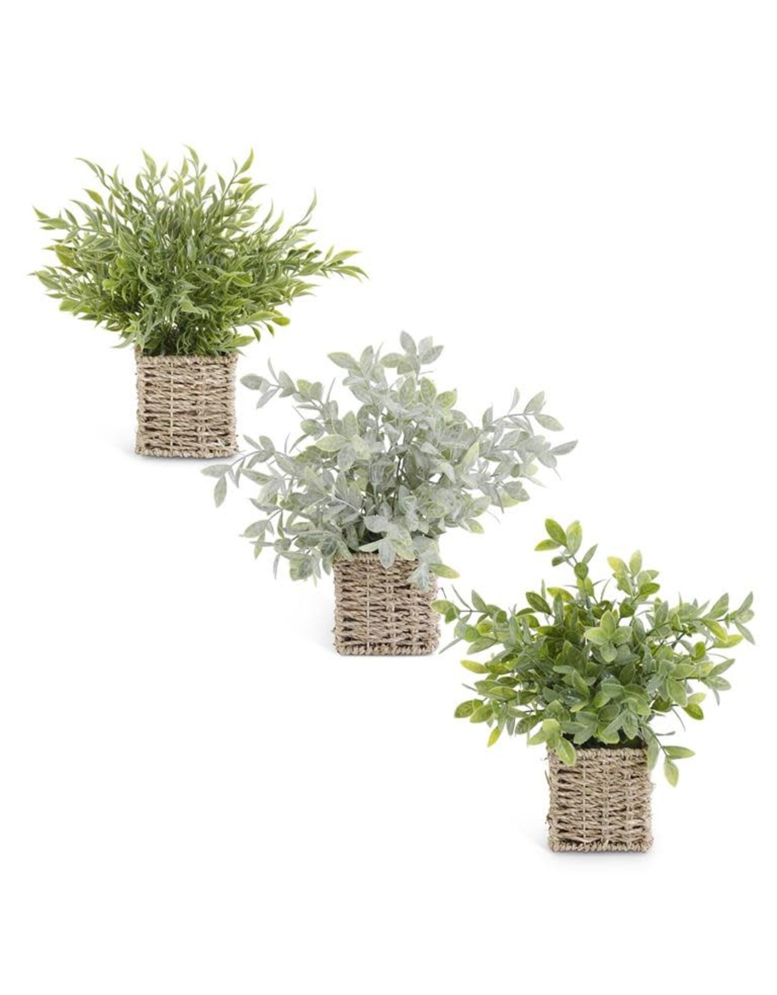 12 Inch Herbs in Square Woven Baskets 3 styles, each 16901A