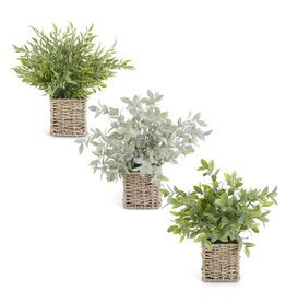 12 Inch Herbs in Square Woven Baskets 3 styles, each 16901A