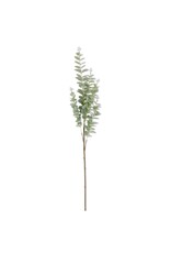 38" Light Green  Eucalyptus Stem