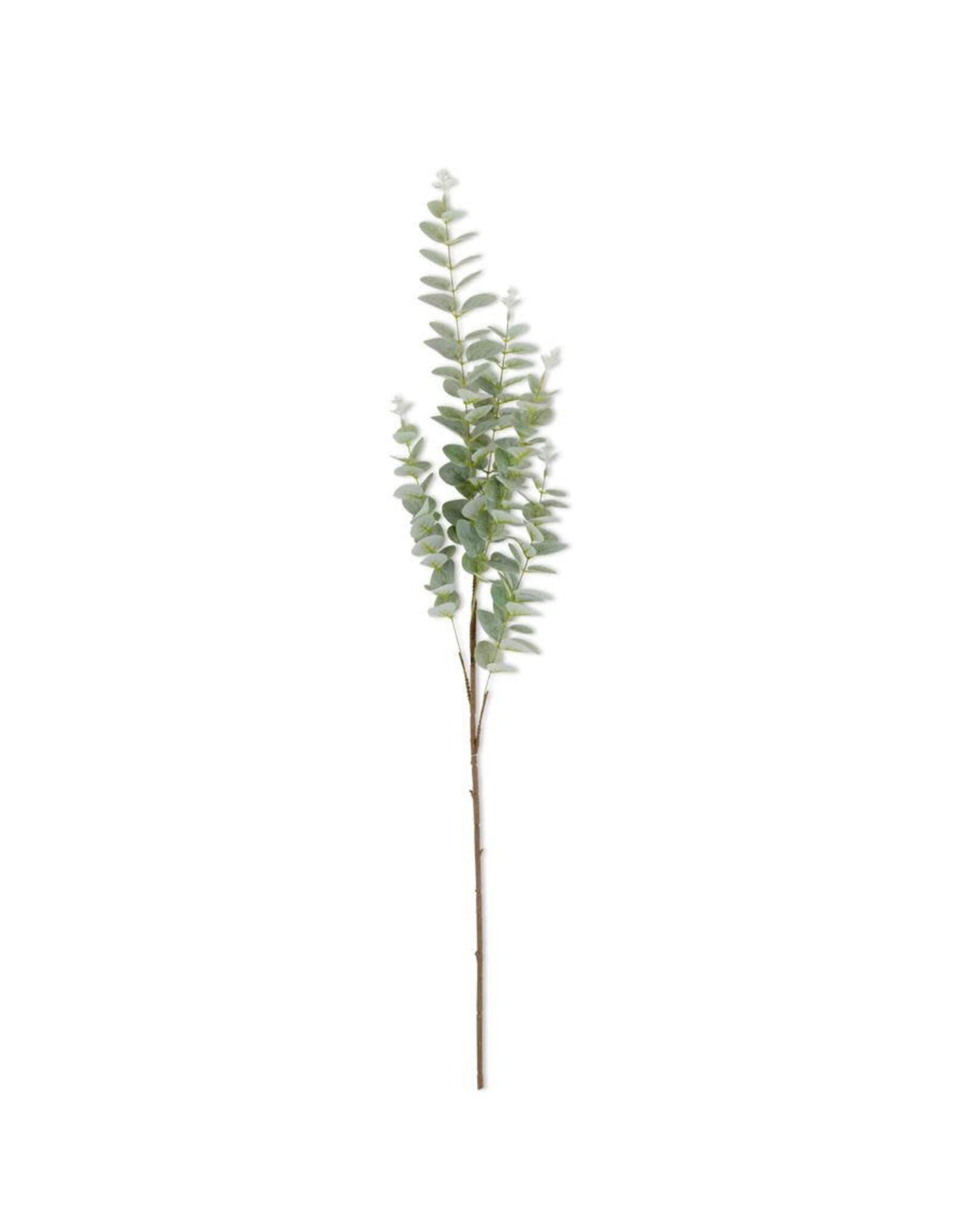 38" Light Green  Eucalyptus Stem