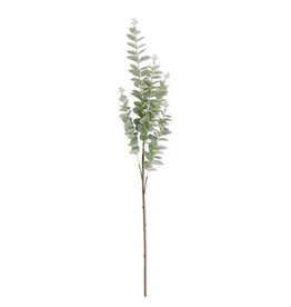 38" Light Green  Eucalyptus Stem