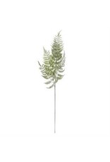 36 " Real Touch Ostrich Fern Stem 16177B