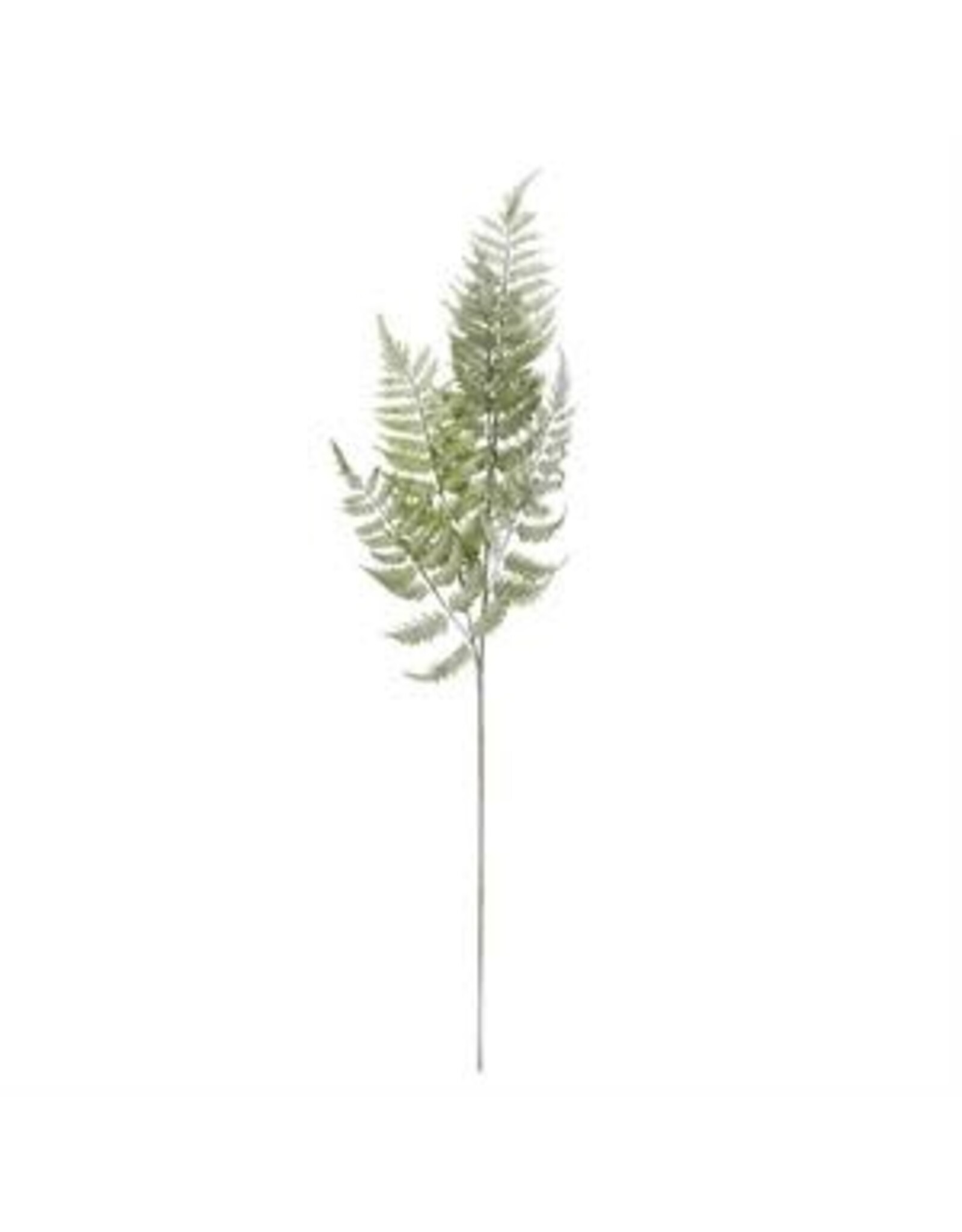36 " Real Touch Ostrich Fern Stem 16177B