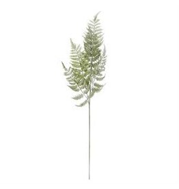 36 " Real Touch Ostrich Fern Stem 16177B