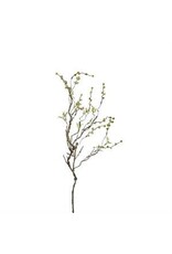 33"L SEED POD/LEAF ICY TWIG  FT1804