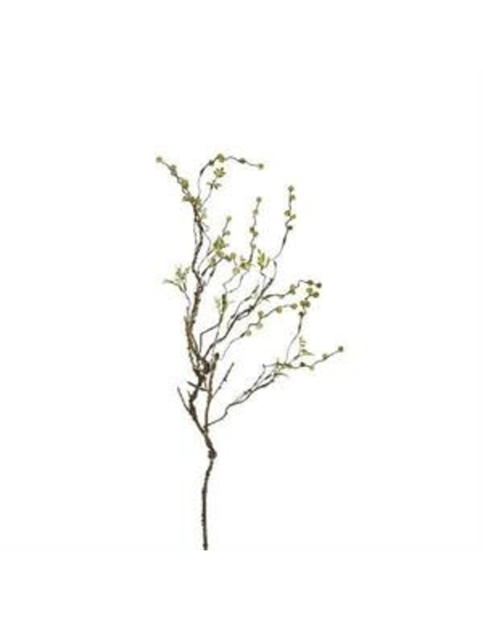 33"L SEED POD/LEAF ICY TWIG  FT1804