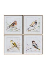 20 x 20 Songbird Art, 4 styles, each CVTOP3551