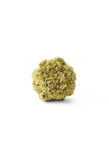4 Inch Dark Green Sedum Ball  15244A