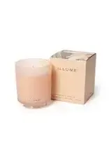 Coconut Milk Mango Boxed Glass Candle  45375051000