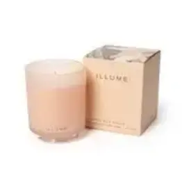 Coconut Milk Mango Boxed Glass Candle  45375051000