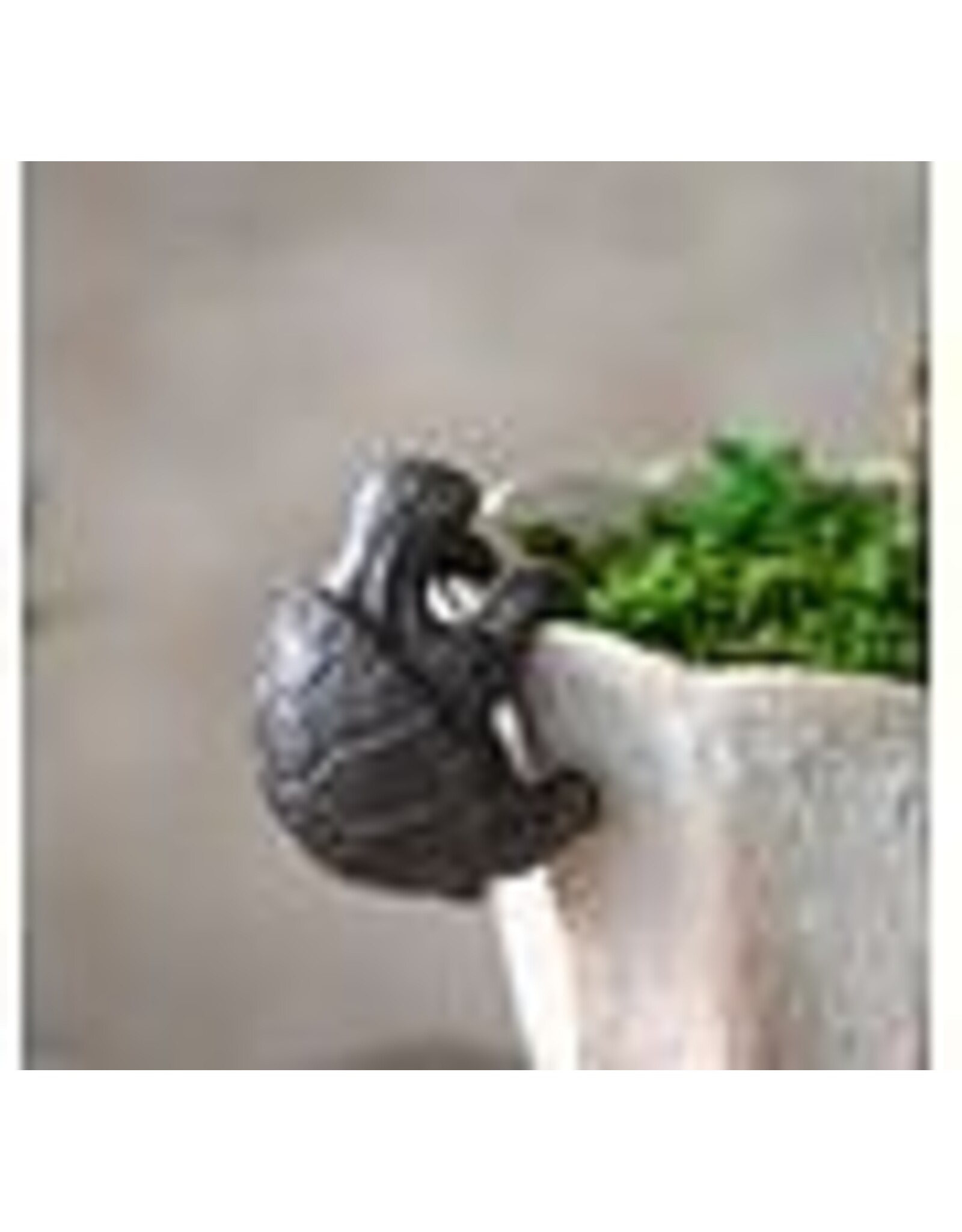 IRON TURTLE POT HANGER