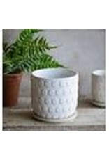 6" CERAMIC DOT POT