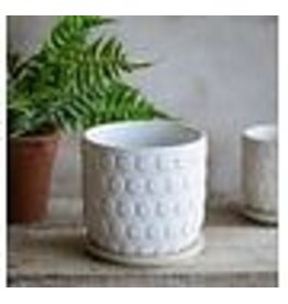 6" CERAMIC DOT POT