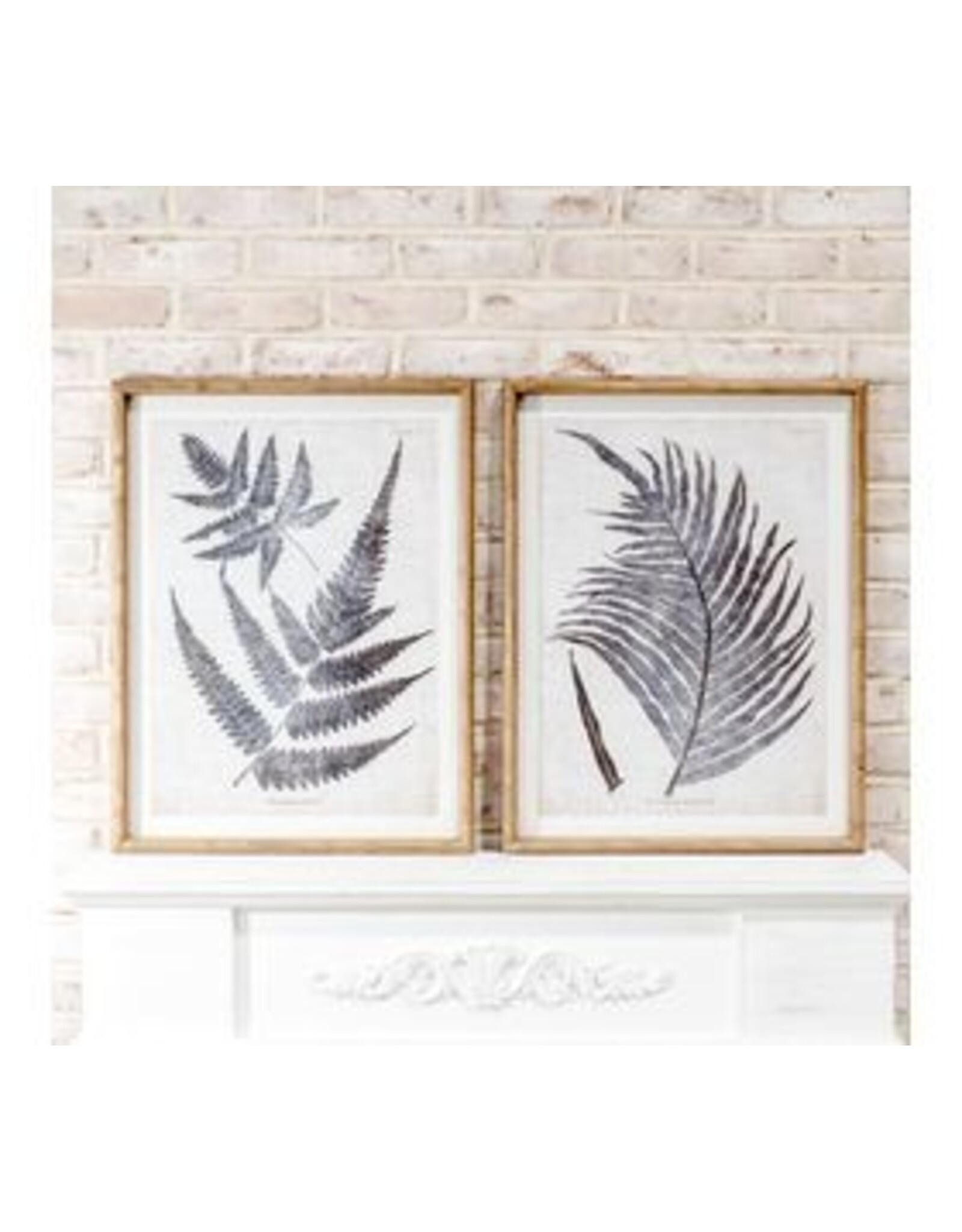 2 ASST. BLK /WHT FERN WALL ART
