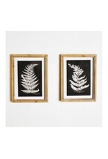 15.75" 2 ASST. FERN WALL DECOR