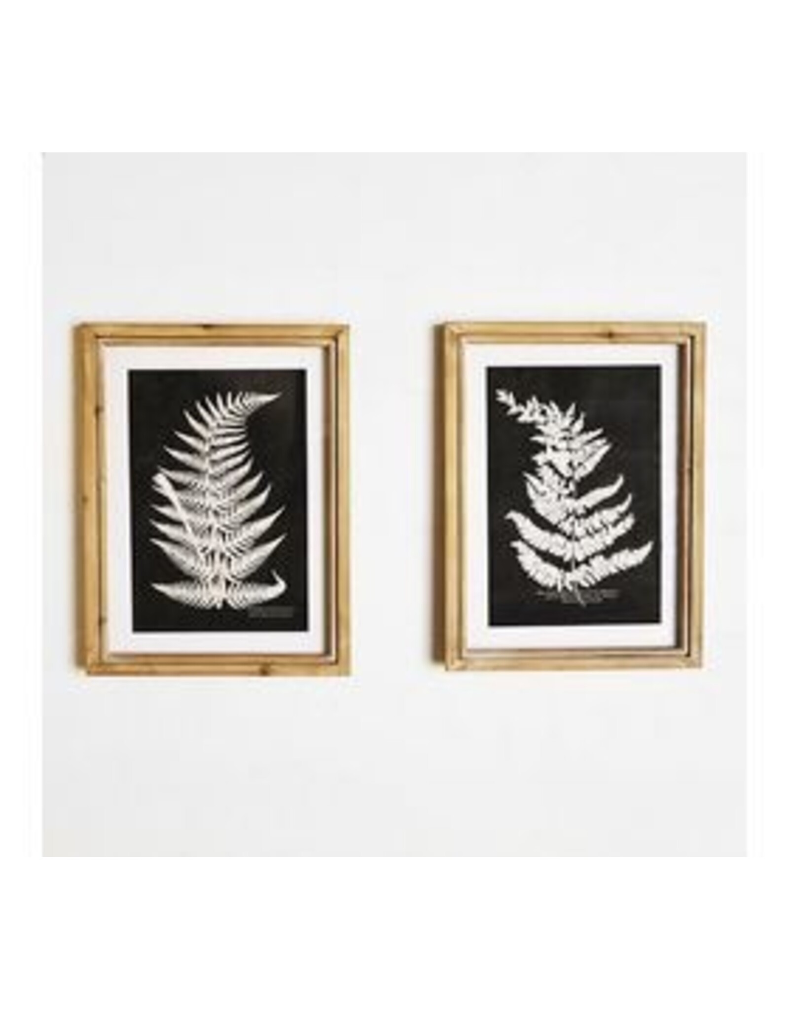 15.75" 2 ASST. FERN WALL DECOR