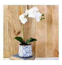 18" WHITE ORCHID IN POT