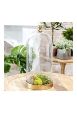 12" GLASS CLOCHE W/ GOLD BASE