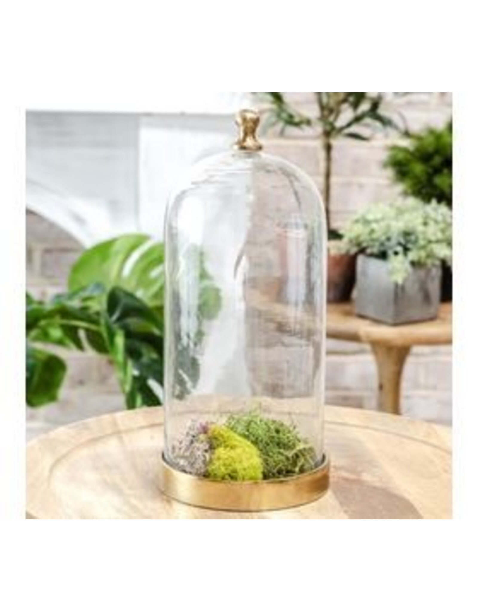 12" GLASS CLOCHE W/ GOLD BASE