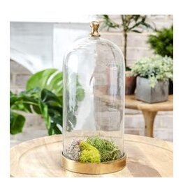 12" GLASS CLOCHE W/ GOLD BASE