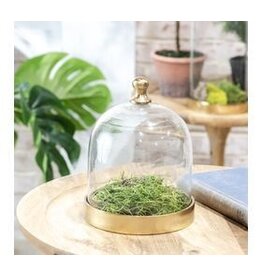 8" GLASS CLOCHE W/ GOLD BASE