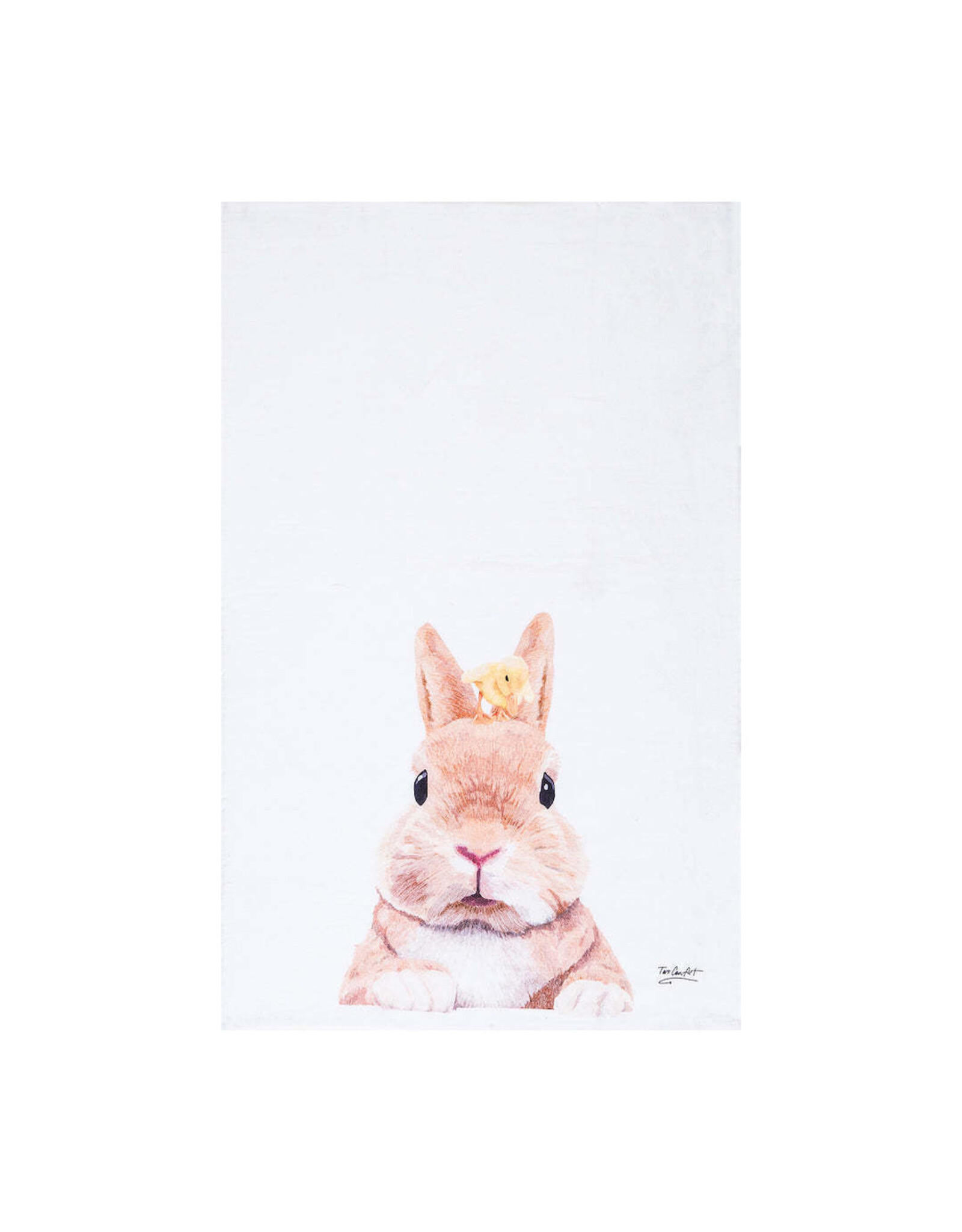 Bunny & Duckling Towel