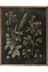 Vintage Neutral Floral Print Black 16x20