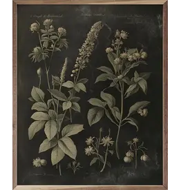Vintage Neutral Floral Print Black 16x20