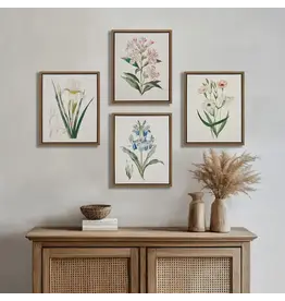 MP95C-0365 Botanical Illustration Framed Canvas Wall Art 4ASST