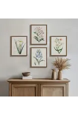 MP95C-0365 Botanical Illustration Framed Canvas Wall Art 4ASST