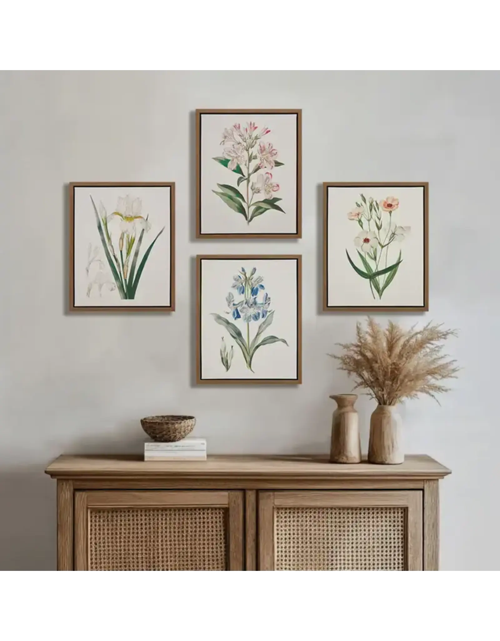 MP95C-0365 Botanical Illustration Framed Canvas Wall Art 4ASST
