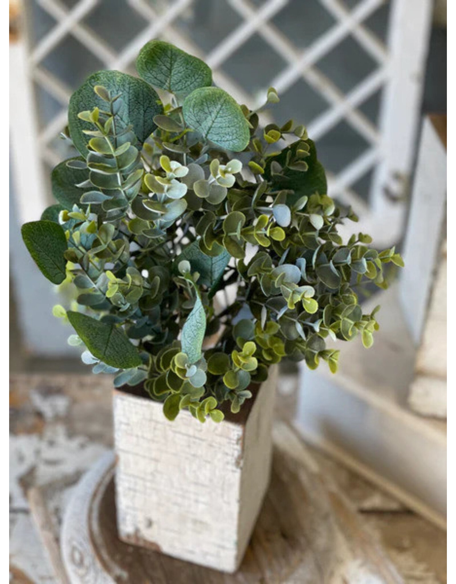 VP5555 15.5" Enclave Eucalyptus Bush