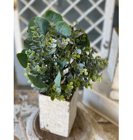 VP5555 15.5" Enclave Eucalyptus Bush