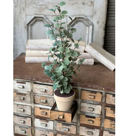 YL1320 24" Garden Eucalyptus Tree
