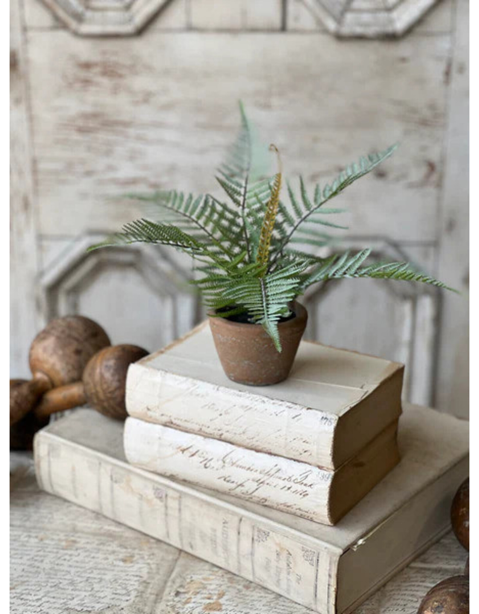 BV5092 8" Hill Gate Pot | Plume Fern