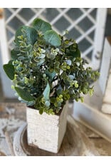 VP5555 15.5" Enclave Eucalyptus Bush