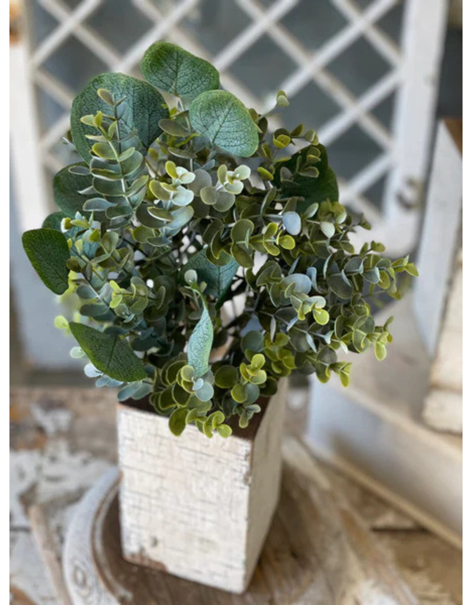 VP5555 15.5" Enclave Eucalyptus Bush