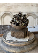 XY5388 7" Shimmer Pine Cone Half Sphere