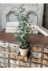 YL1320 24" Garden Eucalyptus Tree