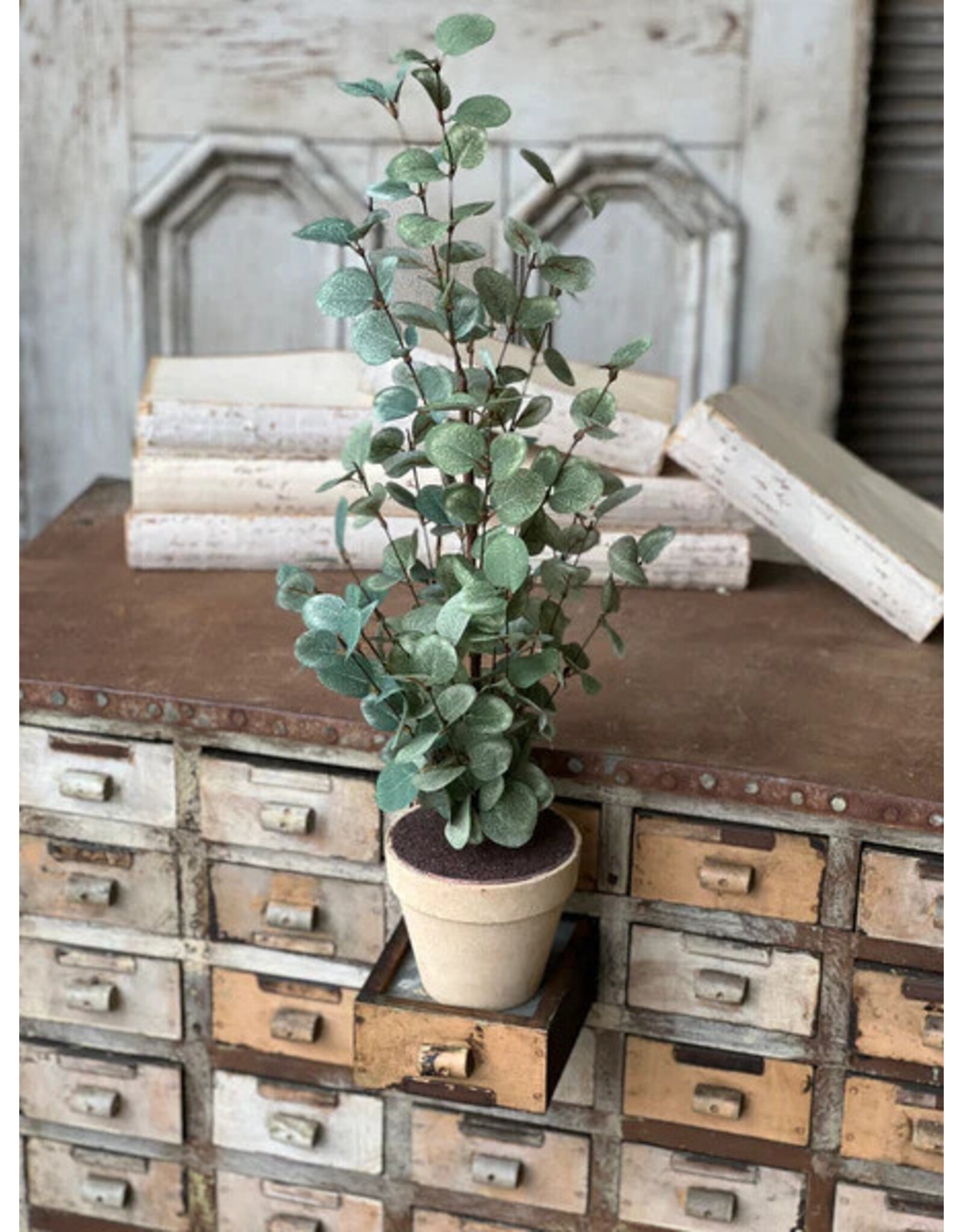 YL1320 24" Garden Eucalyptus Tree