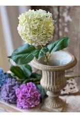 DC1082 31" Promenade Hydrangea | Cream