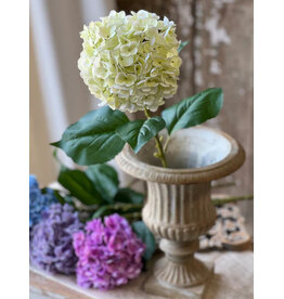 DC1082 31" Promenade Hydrangea | Cream