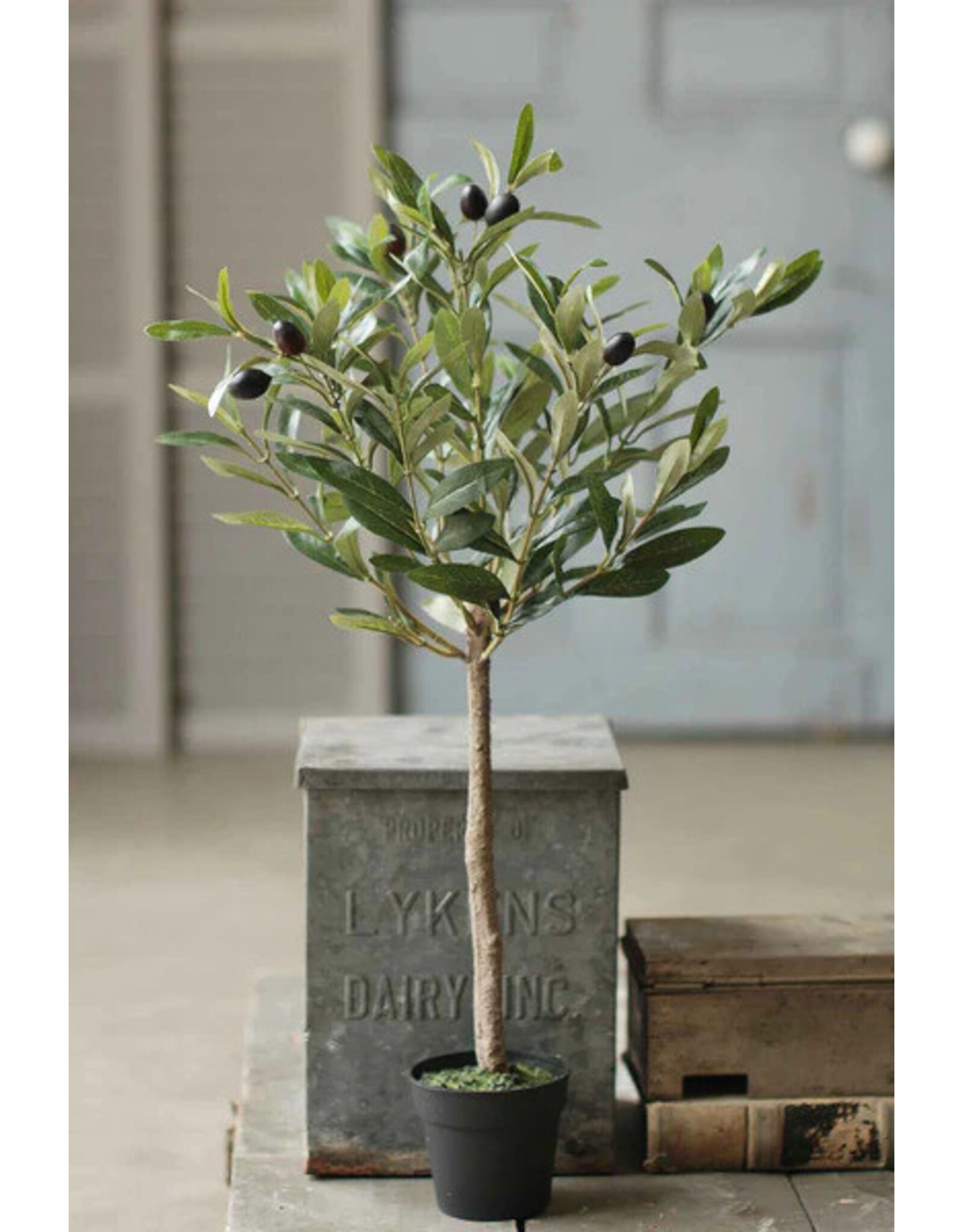 JK1001 26" Potted Olive Tree