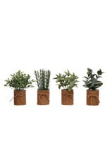 DG2368A Plant in Burlap Bag with Jute Bow 4asst