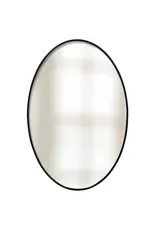 VMI12956 BLACK MIRROR 20in X 29in X 1in