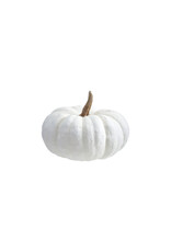 Resin Pumpkin, White & Cream Color
