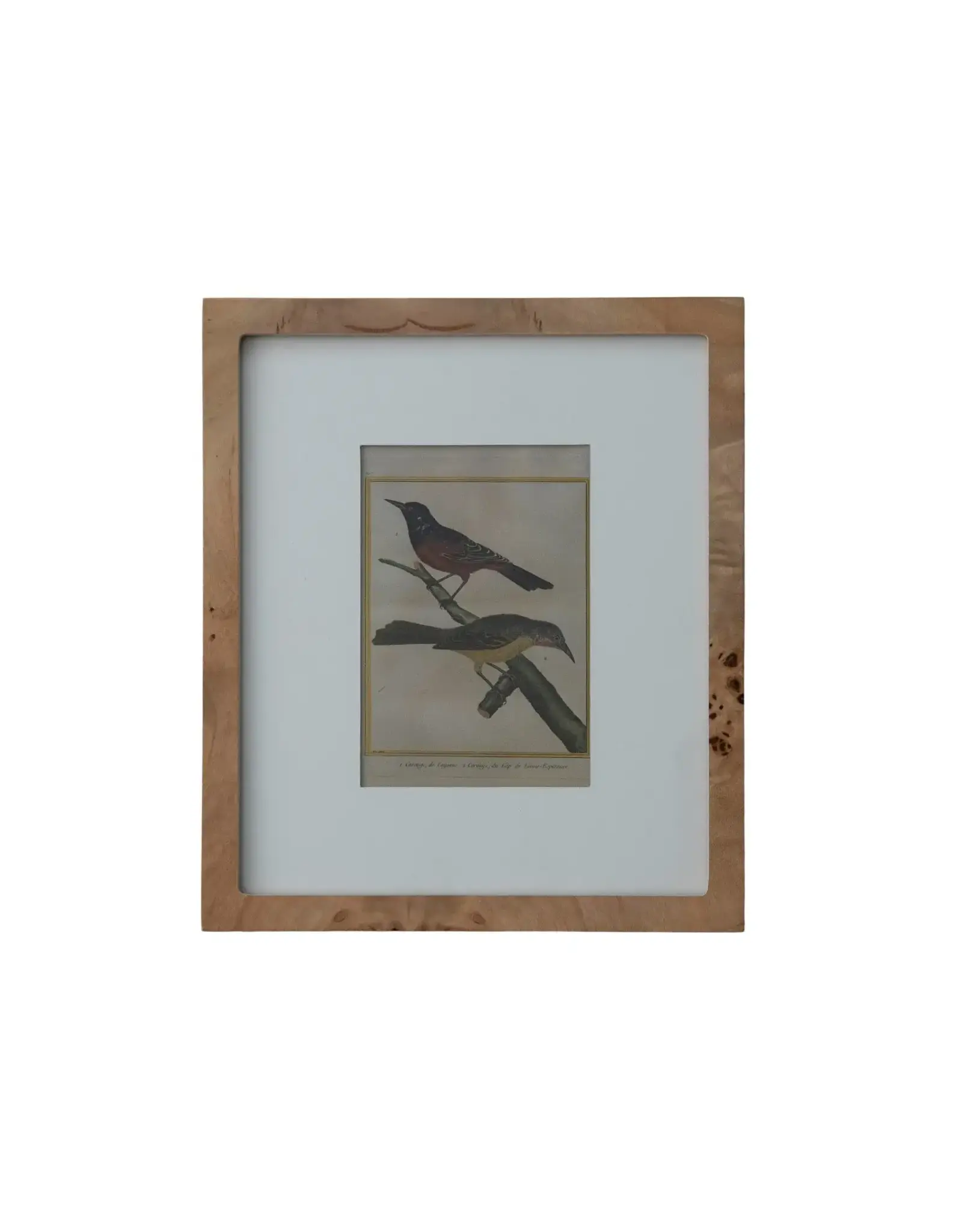 DG2574 MDF & Burl Wood Veneer Photo Frame w White Mat, Natural