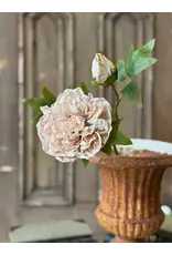 BR7516 20" Legacy Blooms | Lace